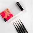 Mont Marte - Mini Detail Brush Set 5pc