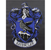 DIAMOND DOTZ - WARNER BROTHERS - HARRY POTTER - RAVENCLAW CREST - 40 X 50 CM