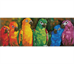 Diamond Dotz Rainbow Parrots