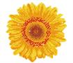 Diamond Dotz Happy Day Sunflower