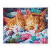DD10.076	DIAMOND DOTZ - Kitty Kip - 35 x 45cm 