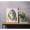 DD11.025	DIAMOND DOTZ - Bohemian Owl - 51 x 41cm 