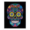DD25.013	DIAMOND DOTZ - Neon Sugar Skull - 35.5 x 45.7cm