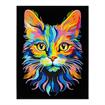 DD25.019	DIAMOND DOTZ - Neon Cat - 35.5 x 45.7cm