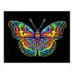 DD25.020	DIAMOND DOTZ - Neon Butterfly - 35.5 x 45.7cm