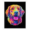 DD25.021	DIAMOND DOTZ - Neon Golden Retriever - 35.5 x 45.7cm