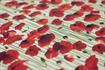 KENNARD & KENNARD - ANZAC FABRIC - POPPIES - CREAM 