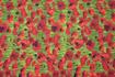 KENNARD & KENNARD - ANZAC FABRIC - POPPIES - GREEN 