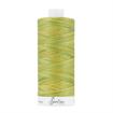 Fine Quilting Thread 100% Cotton - variegated  50/3 1100m col 4213