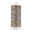 Fine Quilting Thread 100% Cotton - variegated  50/3 1100m col 4222