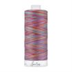 Fine Quilting Thread 100% Cotton - variegated  50/3 1100m col 4261