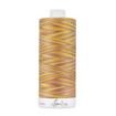 Fine Quilting Thread 100% Cotton - variegated  50/3 1100m col 4270