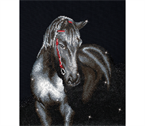 Diamond Dotz Midnight Stallion 42 x 53cm (16.5 x 20.9in)