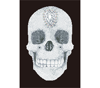 Diamond Dotz - Crystal Skull - 42 x 60cm (16.5 x 20.5in)