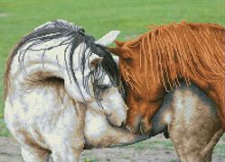 DIAMOND DOTZ - Courtship - 45 x 62cm