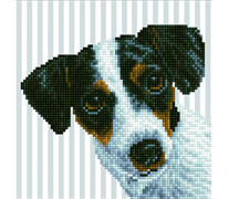 DIAMOND DOTZ - Me?? - 24 x 23cm (8x 9in)