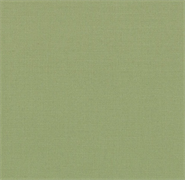 Moda - Bella Solids - Circa Celadon 