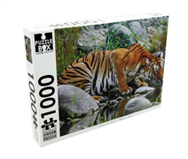 BMS - Jigsaw Puzzle 1000Pc - save the planet bengal tiger