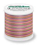 Rayon 40 200M Multi-Color - 2141