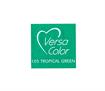 VERSACOLOUR Small Stamp Pad - Colour: Tropical Green
