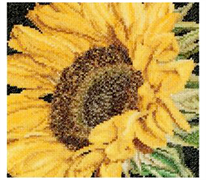 Thea Gouverneur Cross Stitch Kit - Sunflower 150 x 140mm
