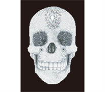 Diamond Dotz Crystal Skull - 42 x 60cm (16.5 x 20.5in)