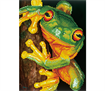 Diamond Dotz Green Tree Frog