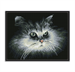 Diamond Dotz Squares - Shadow Cat - 32 x 25 cm (black frame incl in kit)