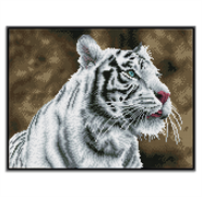 Diamond Dotz Squares - Tigre Blanc - 41 x 31 cm (with Black Frame)