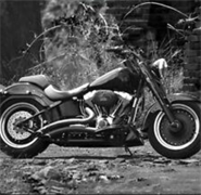 Burragong Creek Motorbikes - Panel