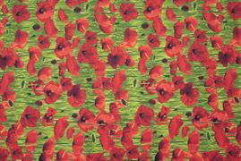 Kennard & Kennard - ANZAC Fabric - Poppies - Green
